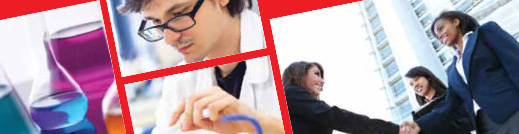 people working in office and lab