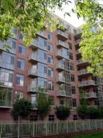 The Berkleybuilding through trees