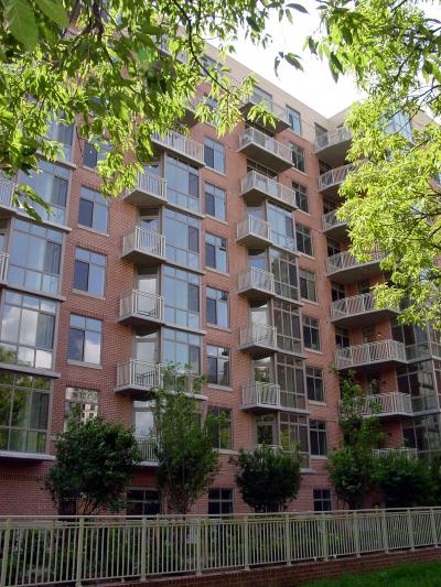 The Berkleybuilding through trees
